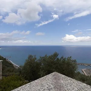 Degli Ulivi Italia
